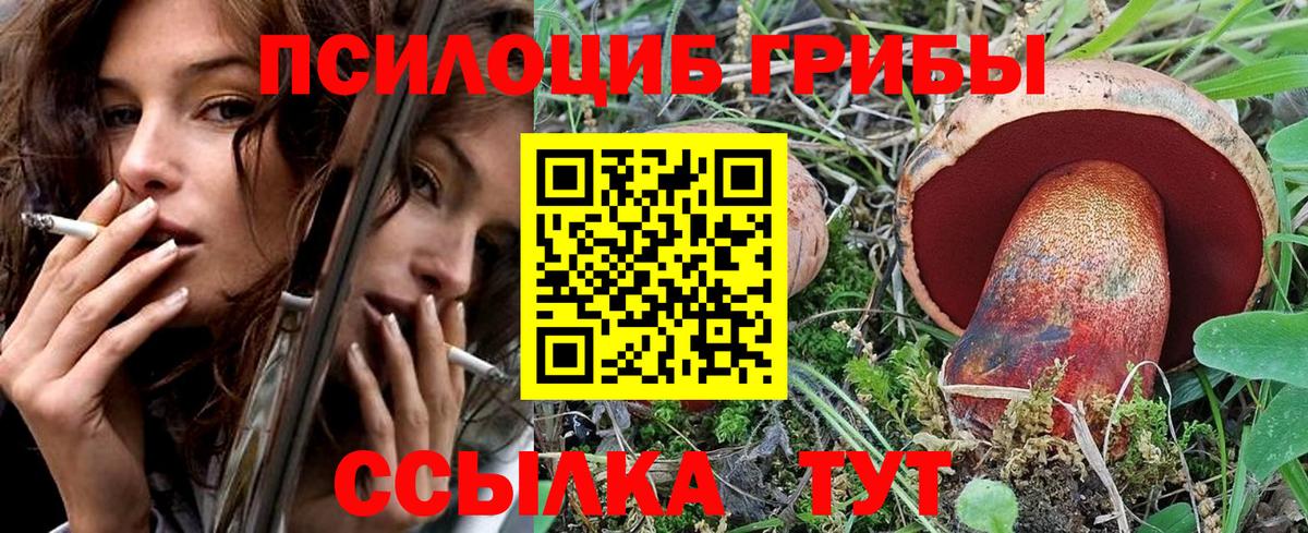 Алушта  Псилоцибиновые грибы ЛСД  Вход с VPN 